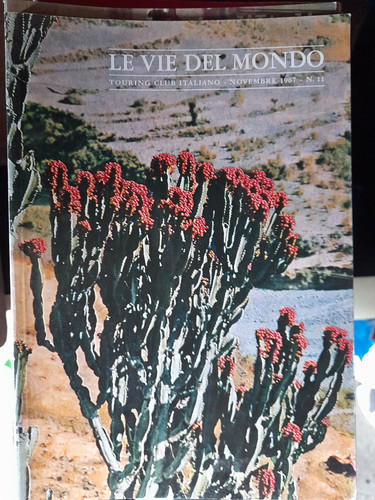 Rivista mensile vie - rivista, -le