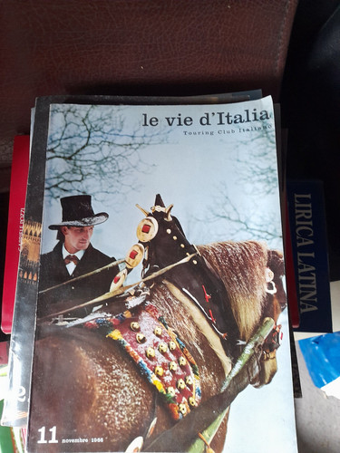 Rivista mensile vie - mensile, del